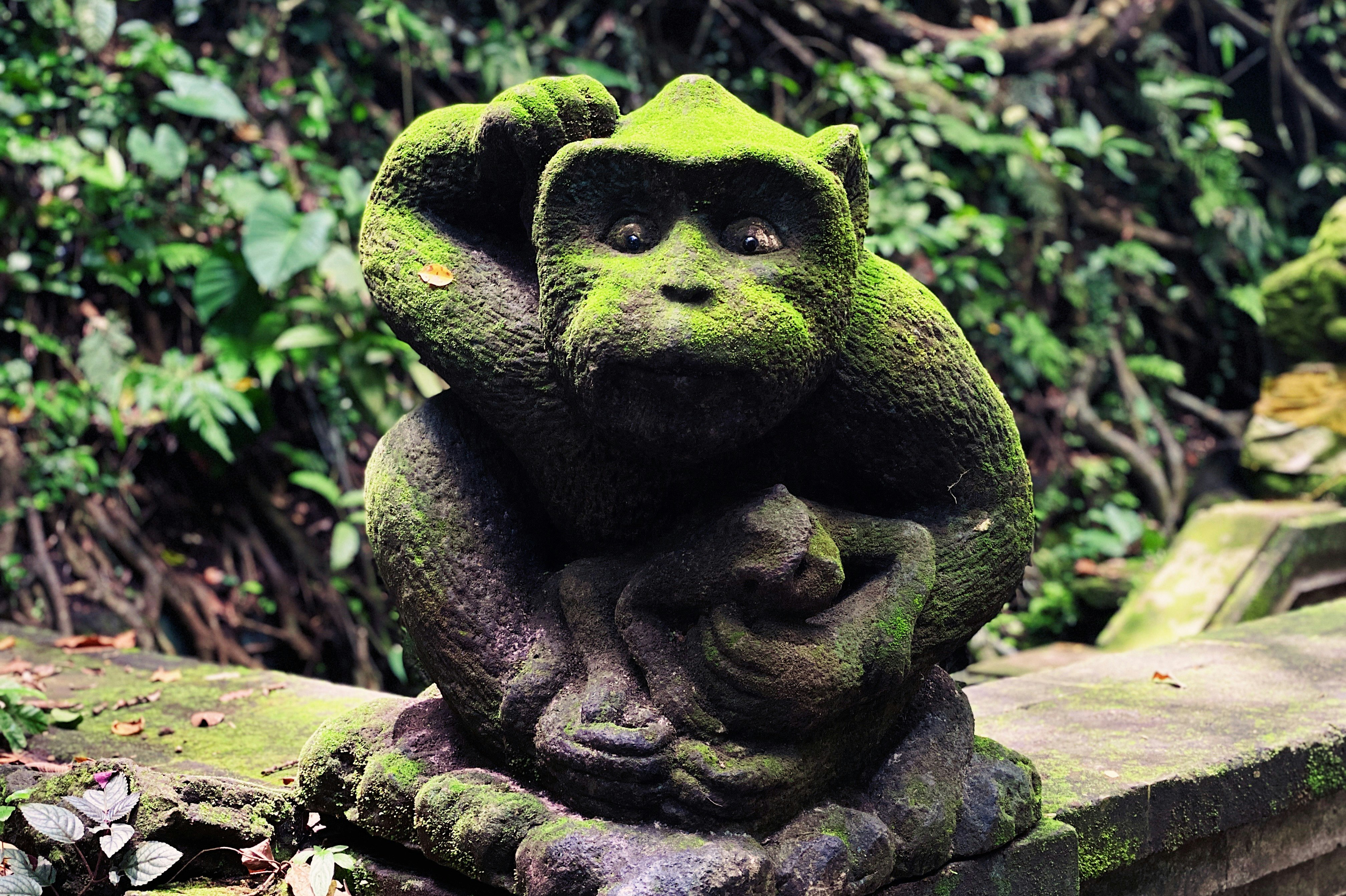 green concrete statue of a frog